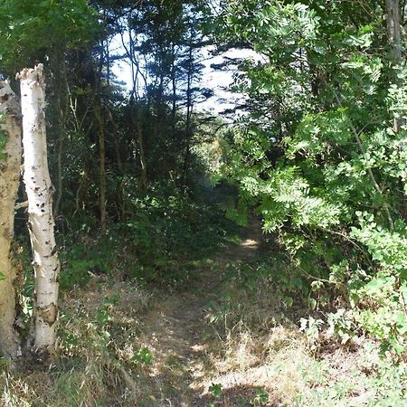 Farsø Fjordsynヴィラ エクステリア 写真