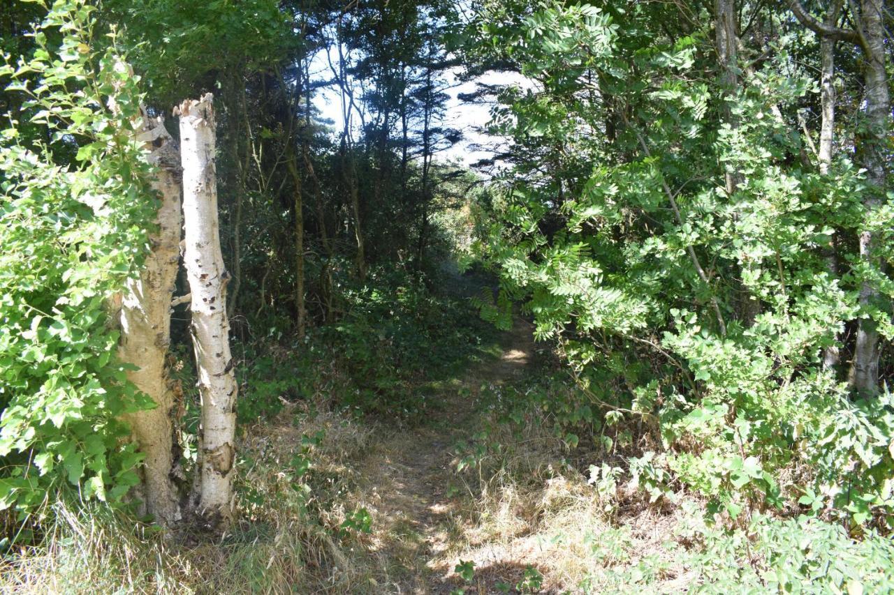 Farsø Fjordsynヴィラ エクステリア 写真